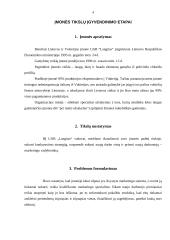 Įmonės analizė: langų, durų ir fasado elementų gamyba UAB "Langitas" 4 puslapis