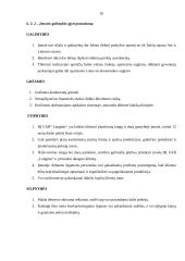 Įmonės analizė: langų, durų ir fasado elementų gamyba UAB "Langitas" 10 puslapis