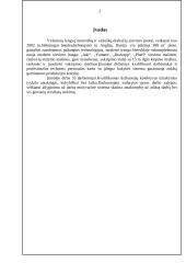Įmonės analizė: siuvimo įmonė 2 puslapis