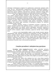 Įmonės analizė: siuvimo įmonė 4 puslapis
