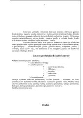 Įmonės analizė: siuvimo įmonė 7 puslapis