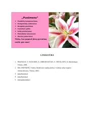 Įmonės rinkodara: gėlių salonas UAB "Puošmena" 12 puslapis