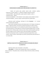 Įmonės rinkodara: gėlių salonas UAB "Puošmena" 3 puslapis