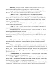 Įmonės rinkodara: gėlių salonas UAB "Puošmena" 4 puslapis