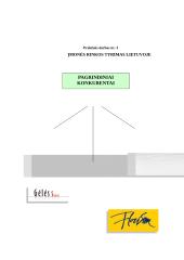 Įmonės rinkodara: gėlių salonas UAB "Puošmena" 5 puslapis