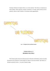 Įmonės rinkodara: gėlių salonas UAB "Puošmena" 10 puslapis