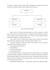 Įmonės struktūra: prekybos įmonė 3 puslapis