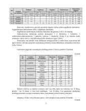Investicinio projekto parengimas: keramikinių indų gamyba UAB "Raudonoji keramika" 2 puslapis
