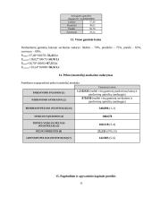 Investicinio projekto parengimas: keramikinių indų gamyba UAB "Raudonoji keramika" 11 puslapis