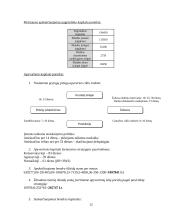 Investicinio projekto parengimas: keramikinių indų gamyba UAB "Raudonoji keramika" 12 puslapis