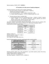 Investicinio projekto parengimas: keramikinių indų gamyba UAB "Raudonoji keramika" 13 puslapis