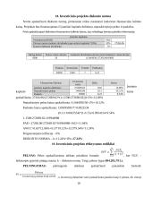 Investicinio projekto parengimas: keramikinių indų gamyba UAB "Raudonoji keramika" 18 puslapis