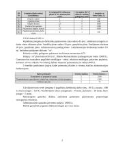 Investicinio projekto parengimas: keramikinių indų gamyba UAB "Raudonoji keramika" 3 puslapis