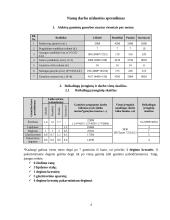 Investicinio projekto parengimas: keramikinių indų gamyba UAB "Raudonoji keramika" 4 puslapis