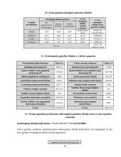 Investicinio projekto parengimas: keramikinių indų gamyba UAB "Raudonoji keramika" 10 puslapis