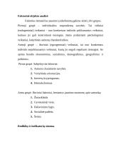 Jaunimo nuomonė apie santuoką 11 puslapis