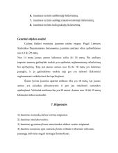 Jaunimo nuomonė apie santuoką 13 puslapis