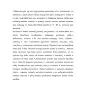 Jaunimo nuomonė apie santuoką 6 puslapis