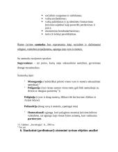 Jaunimo nuomonė apie santuoką 10 puslapis