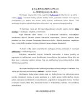 Kalbos kultūros savarankiško darbo užduotis 5 puslapis
