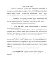 Kalbos kultūros savarankiško darbo užduotis 10 puslapis