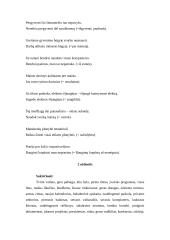 Kalbos kultūros klaidos ir taisyklės 3 puslapis