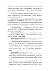 Kalbos kultūros klaidos ir taisyklės 7 puslapis