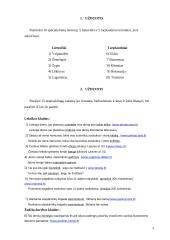 Kalbos kultūros išspręstos užduotys 3 puslapis