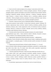 Kauno teritorinės muitinės personalo valdymo veiklų analizė 17 puslapis