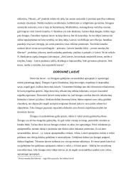 Laisvė ir atsakomybė, laisvės problema 5 puslapis