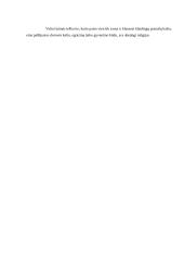 Laisvė ir atsakomybė, laisvės problema 6 puslapis