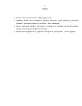 Lažybų įmonės analizė: lažybų organizavimas UAB "Orakulas" 7 puslapis