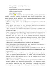Lyderystės menas 2 puslapis