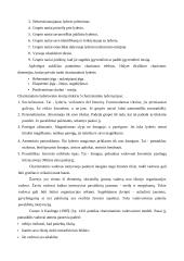 Lyderystės menas 5 puslapis