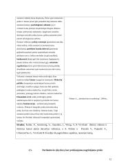 Marketingo tyrimas: šokoladas "Karališkas Cacao 70%" 12 puslapis