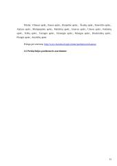 Marketingo tyrimas: šokoladas "Karališkas Cacao 70%" 15 puslapis