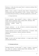 Marketingo tyrimas: šokoladas "Karališkas Cacao 70%" 20 puslapis