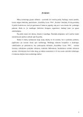 Marketingo tyrimas: šokoladas "Karališkas Cacao 70%" 3 puslapis