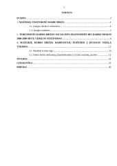 Mažeikių darbo biržos veikla bedarbių profesinės karjeros planavime 2 puslapis