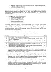 Mikroekonomika - kainos ir paklausa 2 puslapis