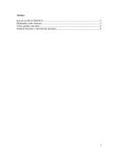 Multimedia: video panaudojimas internetiniuose puslapiuose 2 puslapis