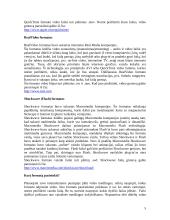 Multimedia: video panaudojimas internetiniuose puslapiuose 5 puslapis