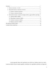 Nacionalinės darnaus vystymosi strategijos apžvalga 2 puslapis