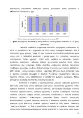 Nacionalinės darnaus vystymosi strategijos apžvalga 20 puslapis