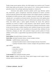 Nacionalinės darnaus vystymosi strategijos apžvalga 3 puslapis