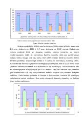 Nacionalinės darnaus vystymosi strategijos apžvalga 10 puslapis