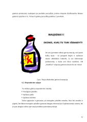 Naujo gaminio kūrimo marketingas: AB "Stumbras" 11 puslapis