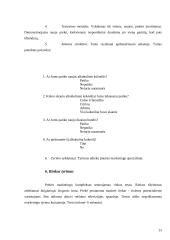 Naujo gaminio kūrimo marketingas: AB "Stumbras" 14 puslapis