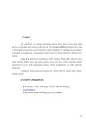 Naujo gaminio kūrimo marketingas: AB "Stumbras" 15 puslapis