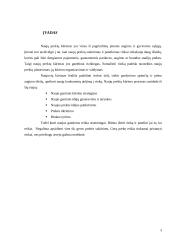 Naujo gaminio kūrimo marketingas: AB "Stumbras" 2 puslapis